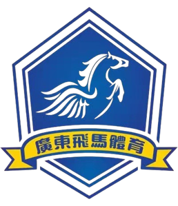 广东飞马